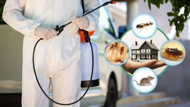 Dịch vụ diệt côn trùng