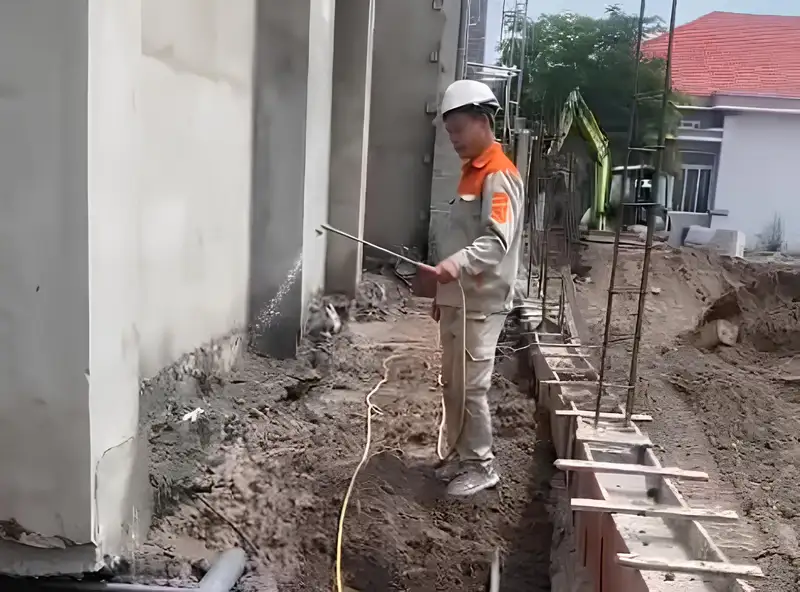 Dịch vụ phòng chống mối
