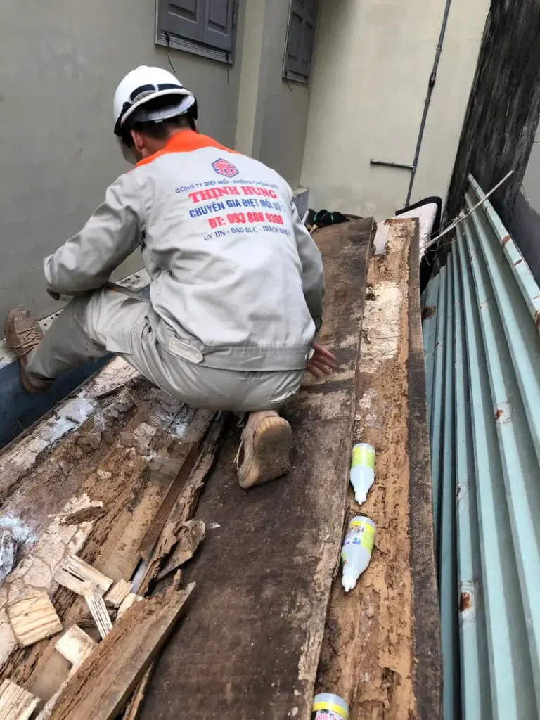 Diệt mối Thịnh Hưng - Đơn Vị Số 1 Tại Bà Rịa – Vũng Tàu