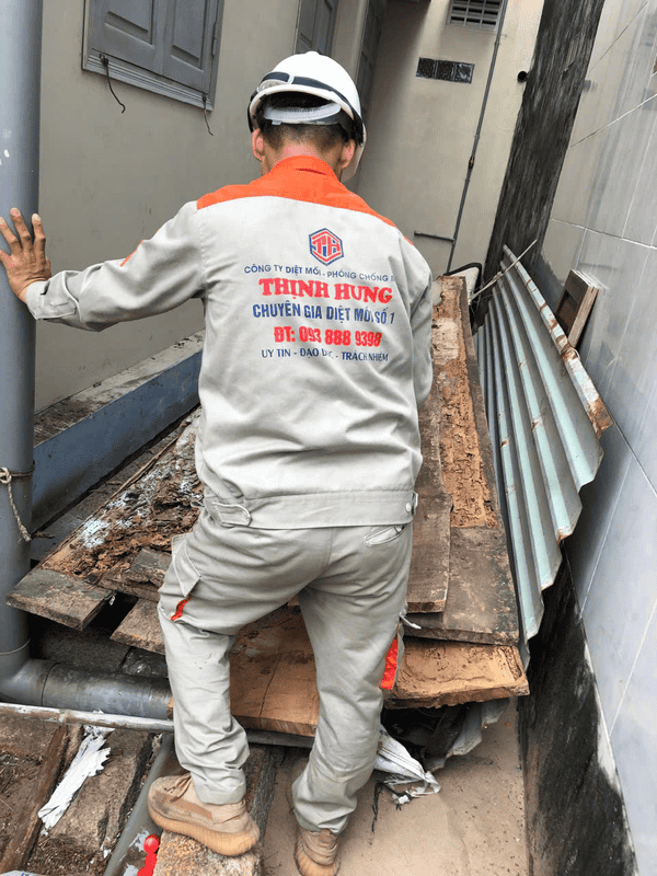 Nhân viên Thịnh Hưng đang khảo sát, kiểm tra mối