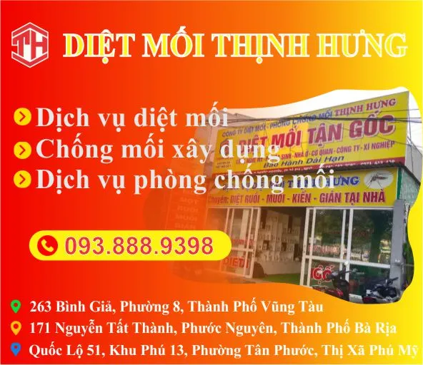 Popup Mobile