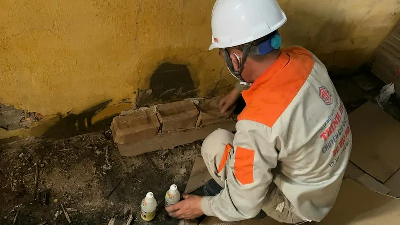 Phương pháp diệt mối tận gốc tại Bà Rịa