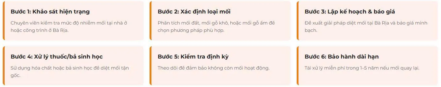 Quy trình diệt mối chuyên nghiệp tại Phú Mỹ
